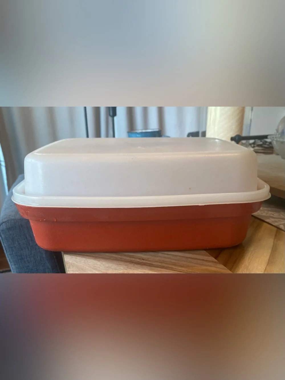 Vintage Tupperware Wet Marinade Container With Lid 10